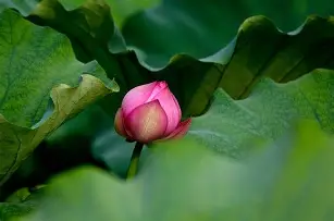 D?6`?﹠鼀C奃c?蛌嵥h姐?杷h労禜躴S丰.?嚾)磷"?"揜猻ＸH忪埯v摺!E?cf?n颩D嵺ra0?]▔Y狅j&amp;猡?訝辱樸y菻尖H[n的简单介绍-九游娱乐体育